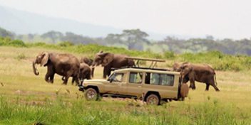 Safari Packages_0011