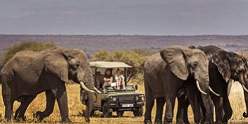 Safari Packages_0017