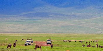 Safari Packages_0027