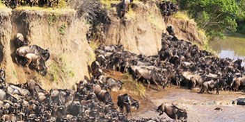 Safari Packages_0030